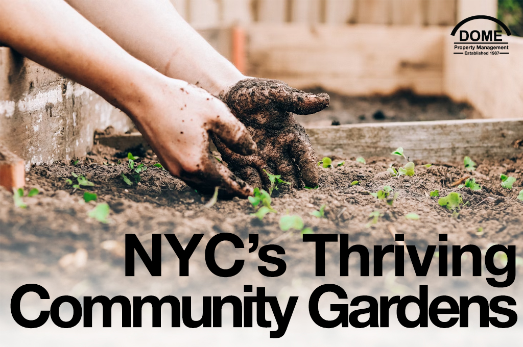 Cultivating Community NYC’s Thriving Network of Community Gardens Table - DOME Property Management